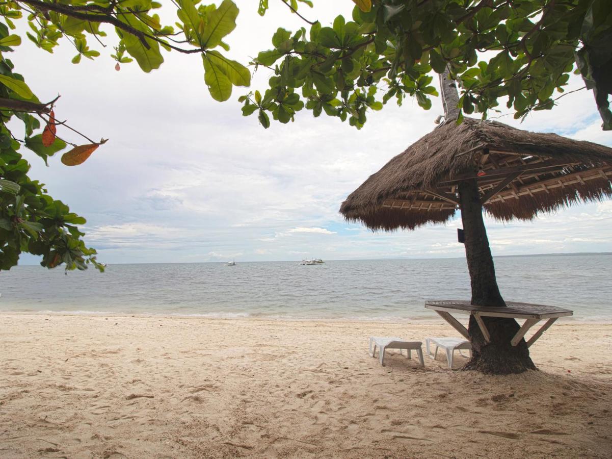 Oyo 853 Malapascua Beach And Dive Resort Экстерьер фото